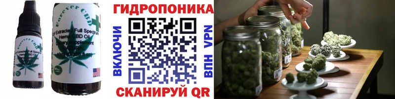 Купить где  Хвалынск  Canna-Cookies марихуана 