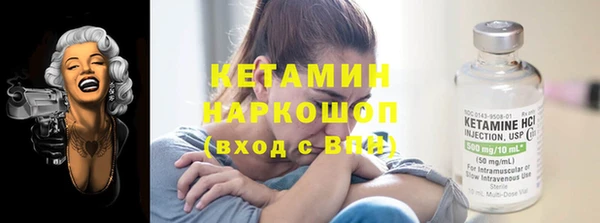 стаф Туринск