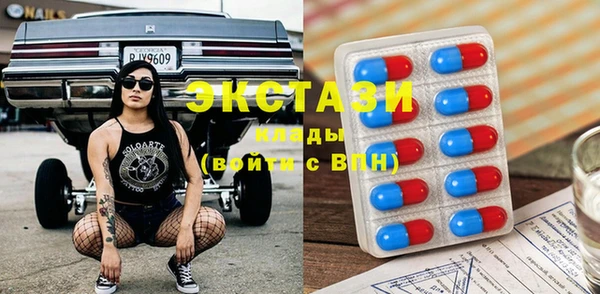 стаф Туринск