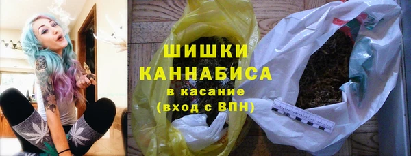 стаф Туринск