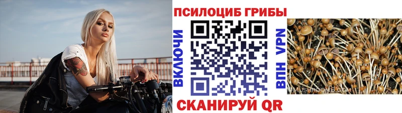 Галлюциногенные грибы мухоморы  Купить  Хвалынск 